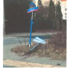 Fotka nr 5 z 6