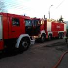Fotka nr 3 z 4