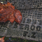 Fotka nr 3 z 7