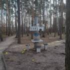 Fotka nr 2 z 3